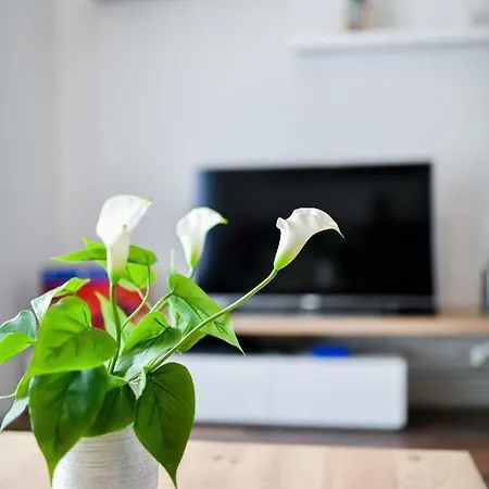 Apartamento Serenity